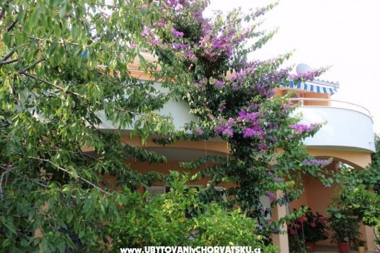 Apartments Bijelić – photo 12