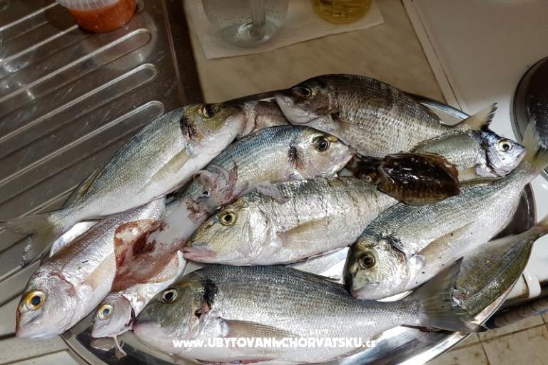 Apartments Bijelić – photo 16