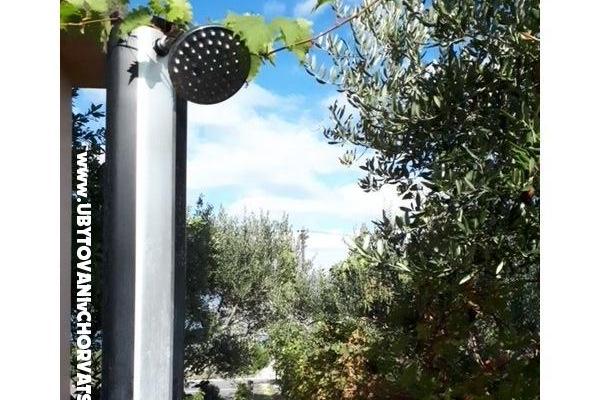 Apartment Ljubica – photo 12