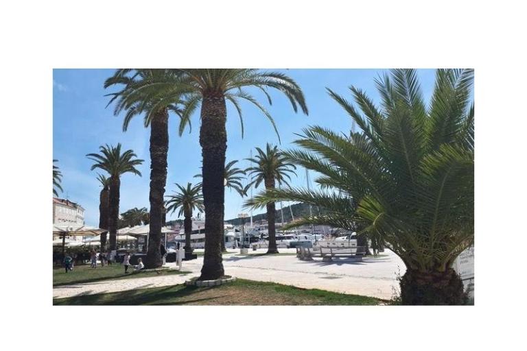 Apartment Ljubica – photo 16