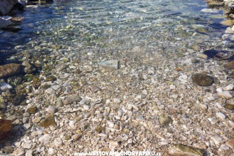 Apartment Misevac – photo 14