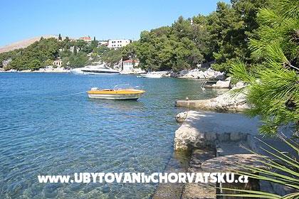 Apartment Novak – photo 8