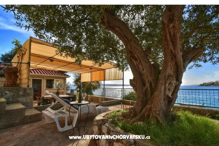 Apartments Dominika – photo 15