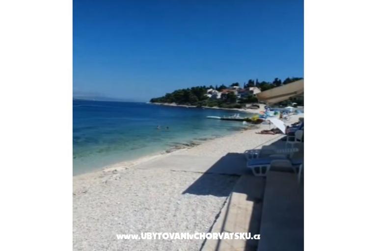 Apartments Ksenija and Anchor – photo 7