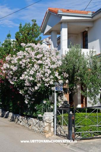 Apartments Ruža – photo 2