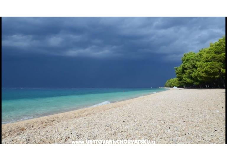 Apartments Ujevic – photo 16