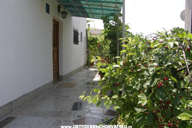 Blaženka – photo 8