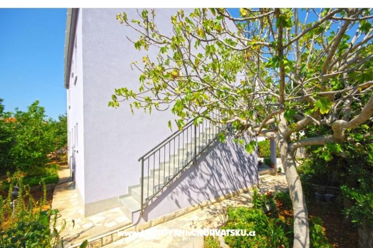 Bosi&amp;co – photo 17