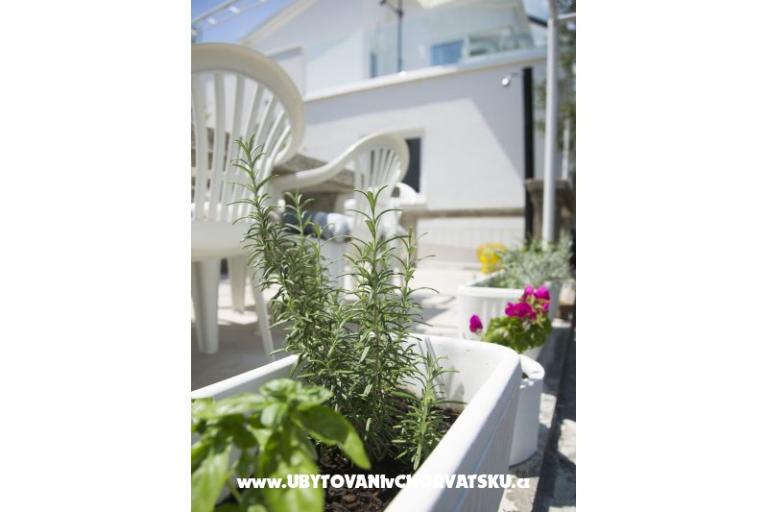 Casa Blanca White house – photo 22