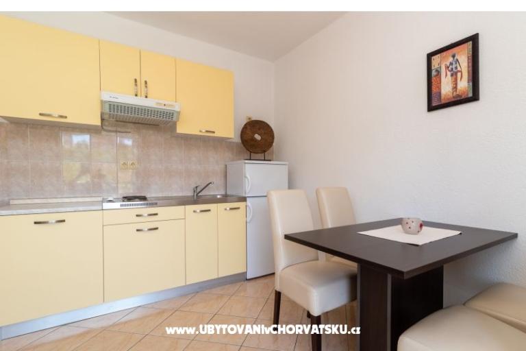 Ignacija – photo 11