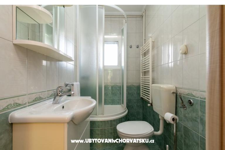 Ignacija – photo 19