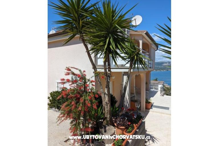 Vila Jelica – photo 18