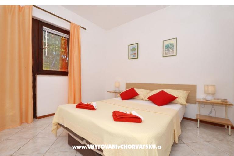 Nevenka – photo 17