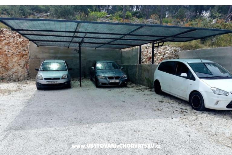 Nevenka – photo 22