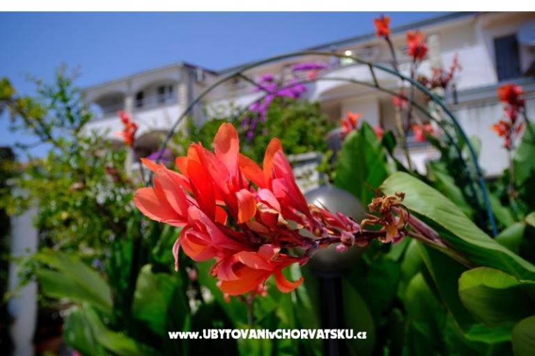 Pansion Jeric – photo 14