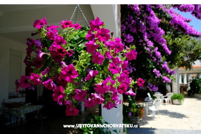 Pansion Jeric – photo 3