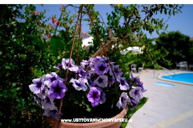 Pansion Jeric – photo 5