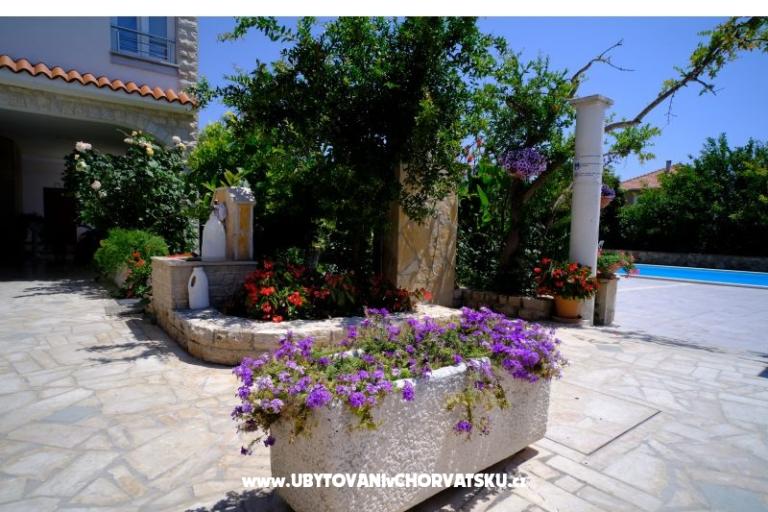 Pansion Jeric – photo 7