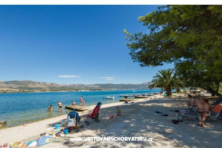 Radelic – photo 22