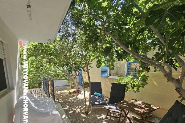 Sea Land  – photo 10