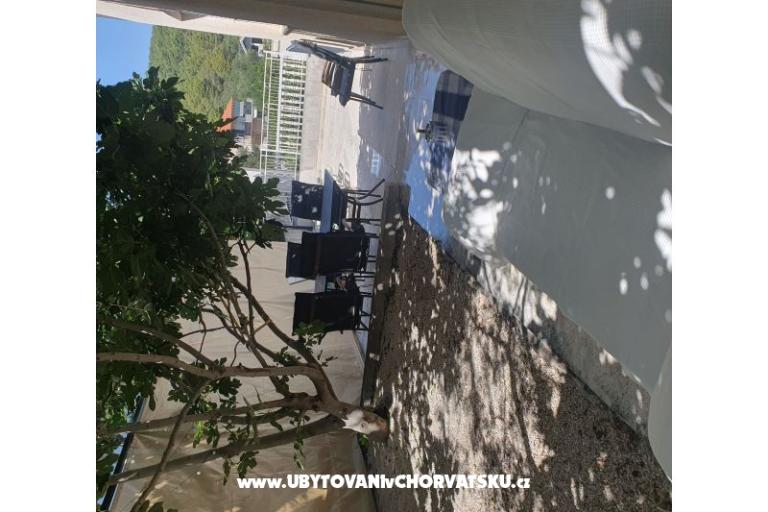 Sea Land  – photo 11