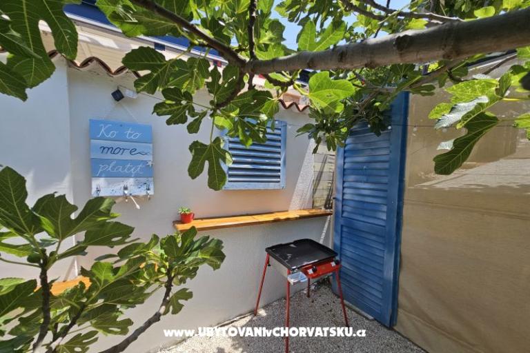 Sea Land  – photo 18