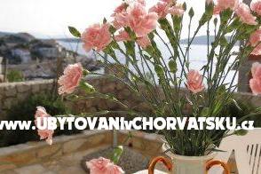 Apartments Cerjan – photo 10