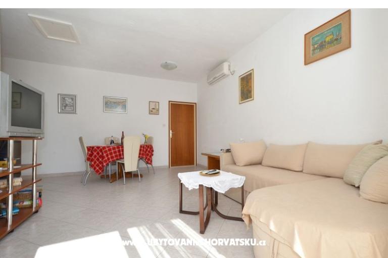 Solea – photo 4