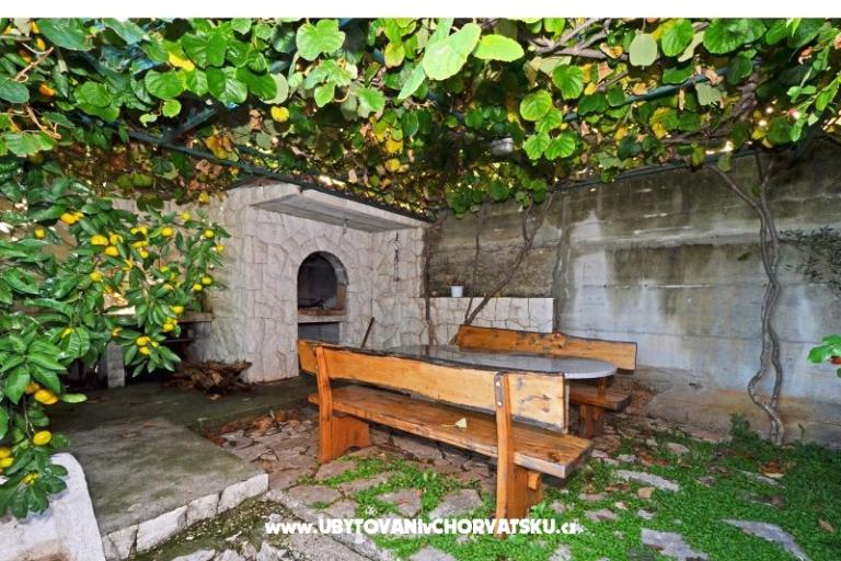 Anamaria – photo 15