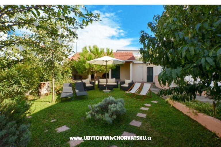 Tudija – photo 5
