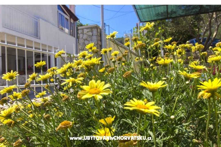 Apartments Katarina Čiovo – photo 11