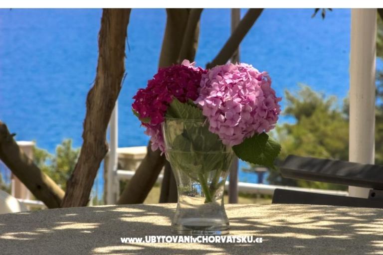 Apartments Katarina Čiovo – photo 9