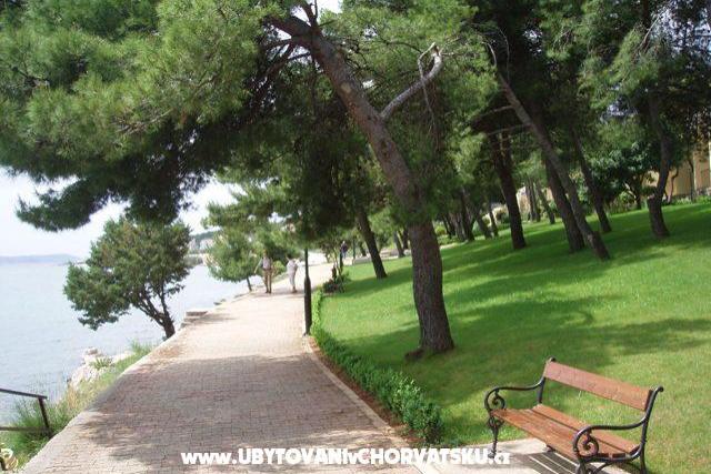 Villa Alenka – photo 3