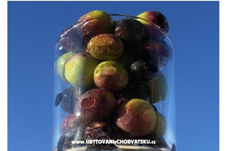 Villa Domora – photo 13