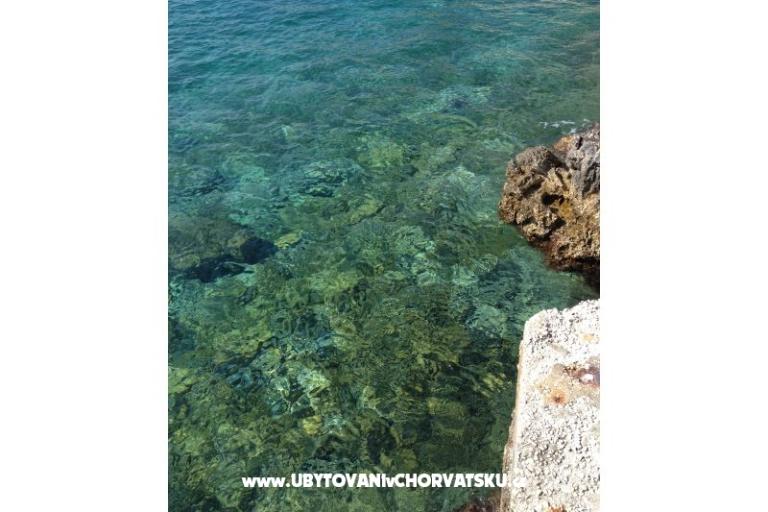 Villa Domora – photo 6