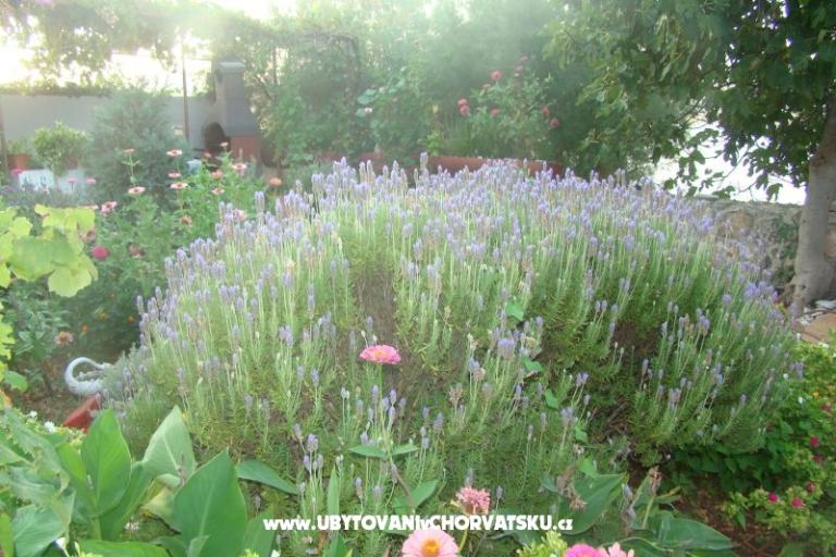 Apartments Villa Milena – photo 6
