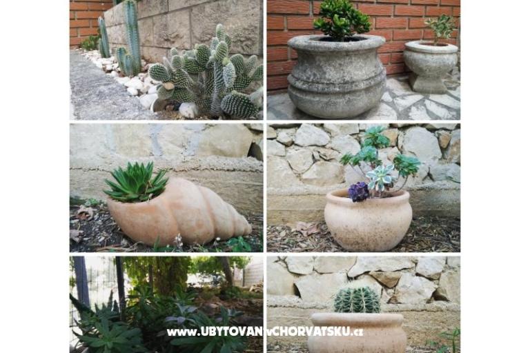 Villa Monika – photo 17