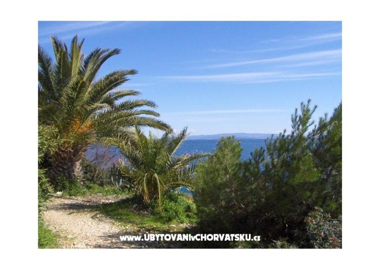 Vacation house Oliviano – photo 13