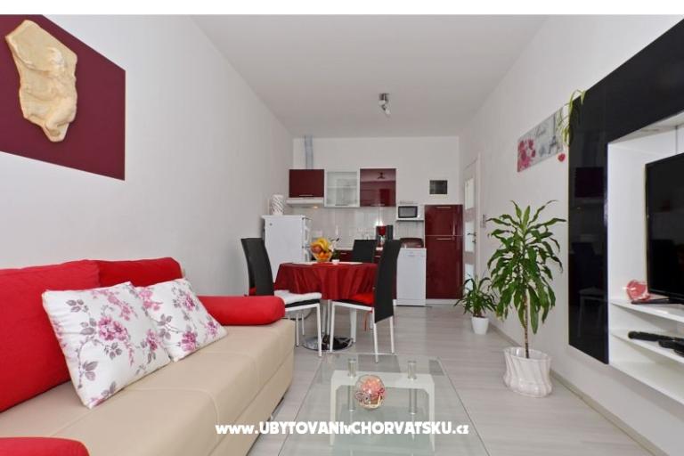 Rainbow – photo 14