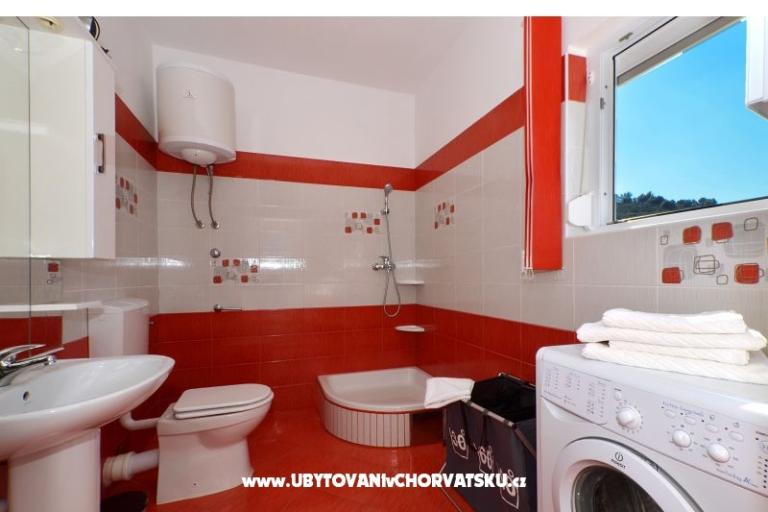 Rainbow – photo 18