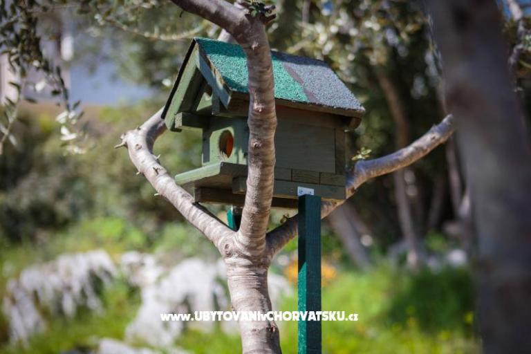 House Tea in a beautiful nature – photo 8