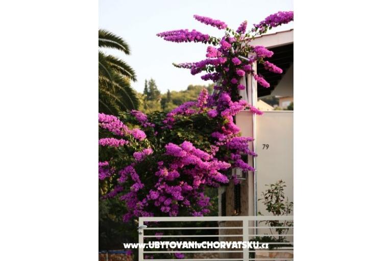 Villa Verandah – photo 9