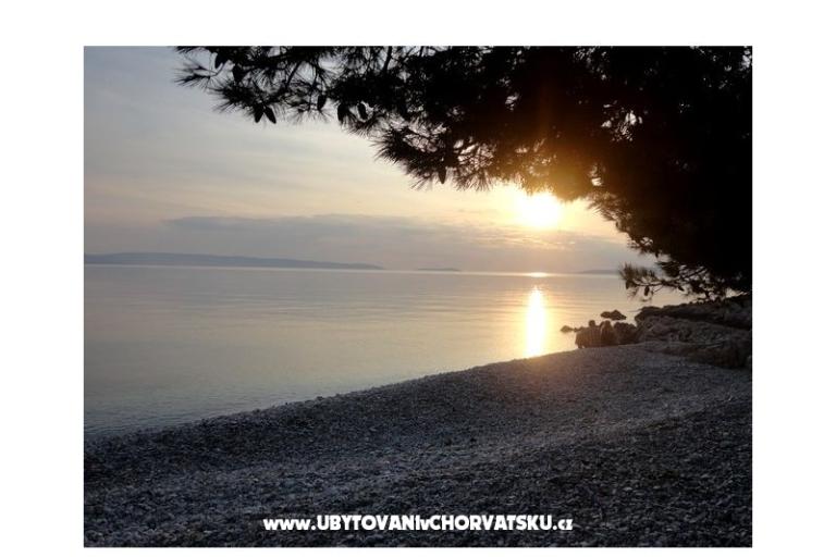 Villa Viktor  – photo 11