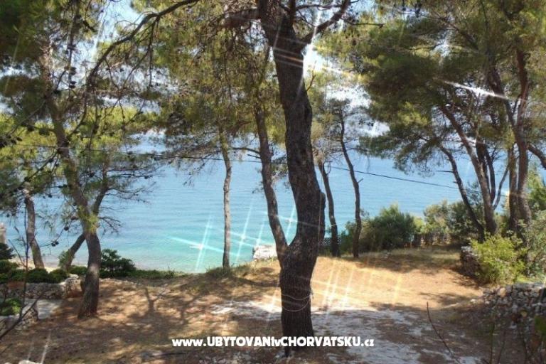 Villa Iskra – photo 13