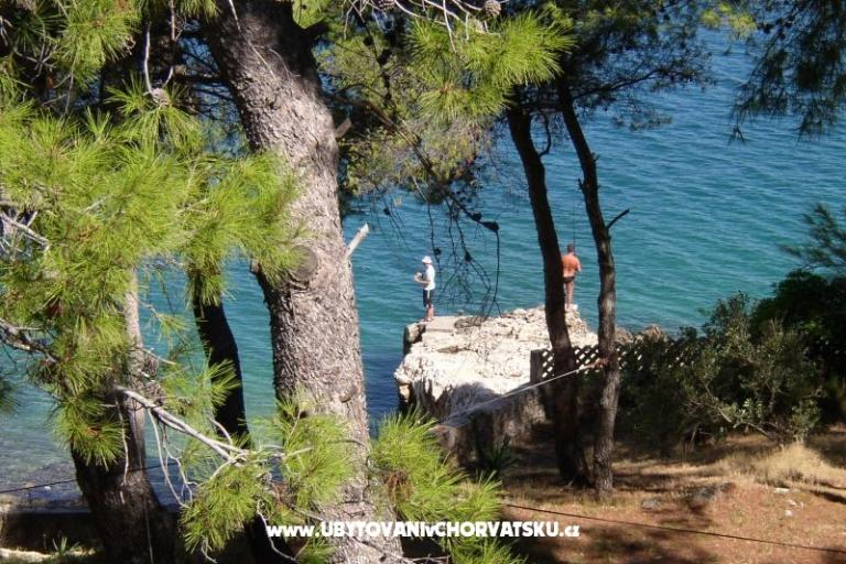 Villa Iskra – photo 14