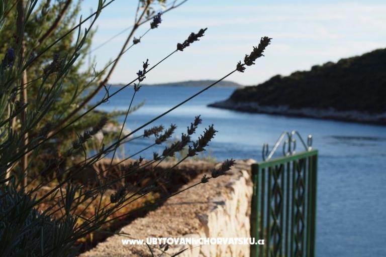 Beachfront apartments Maria Ljublje – photo 6