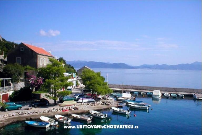 Apartments BIBA – photo 6
