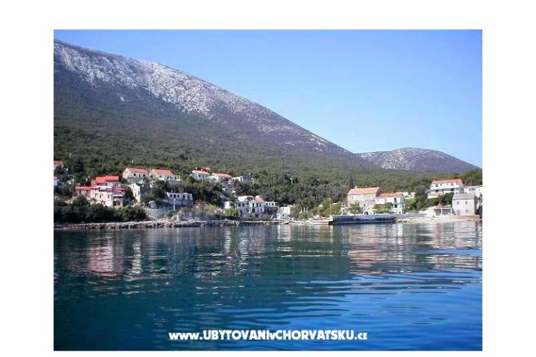 Apartments BIBA – photo 7