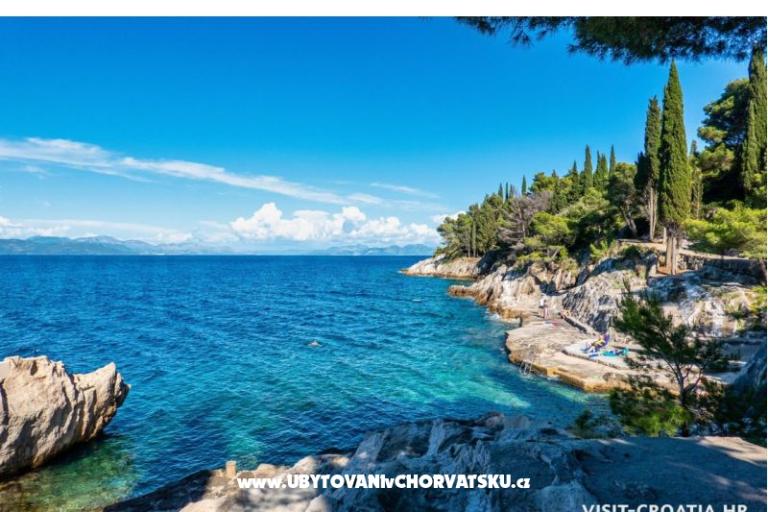 Apartments Bukovac – photo 14