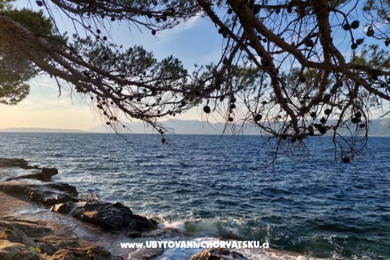 Apartments Bukovac – photo 15